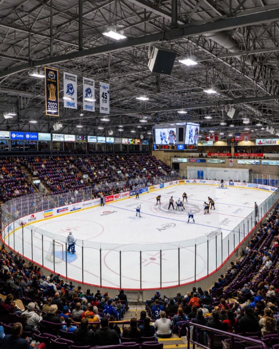 Packed Indoor Hockey Arena Showdown