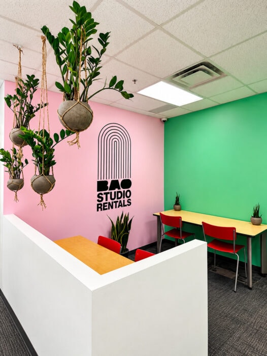 Colorful Studio Office Nook With Hanging Plants