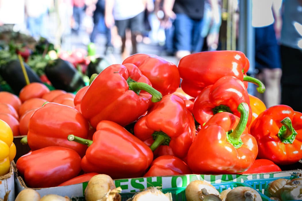 2026 Brampton Farmers Market Peppers