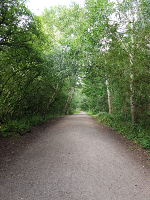 Walking,Trails,In,Fletcher,Moss,Park,,United,Kingdom