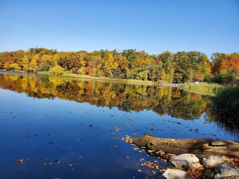 Heart Lake Conservation Park 1